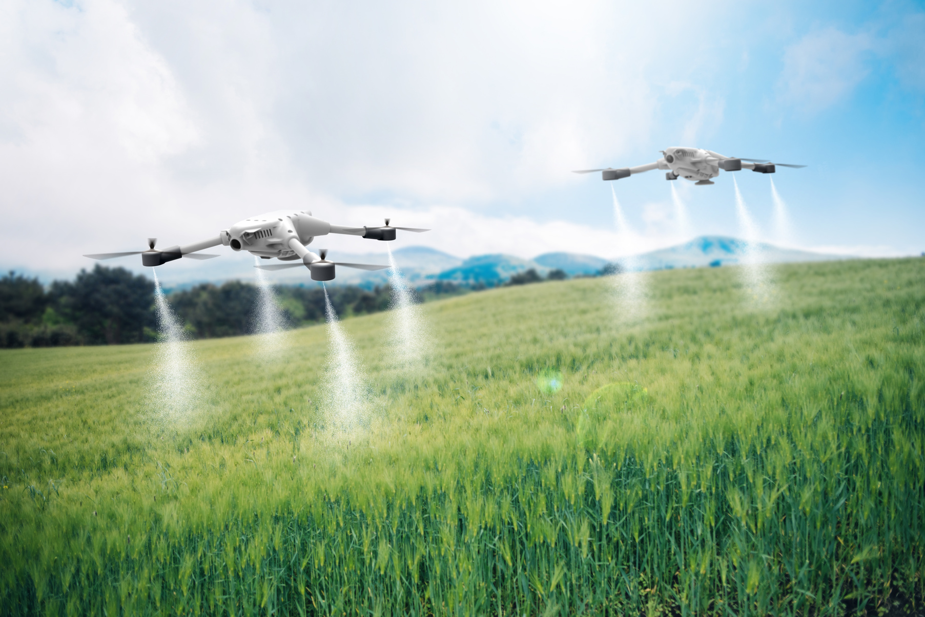 Agriculture drone fly to sprayed fertilizer on the green belt